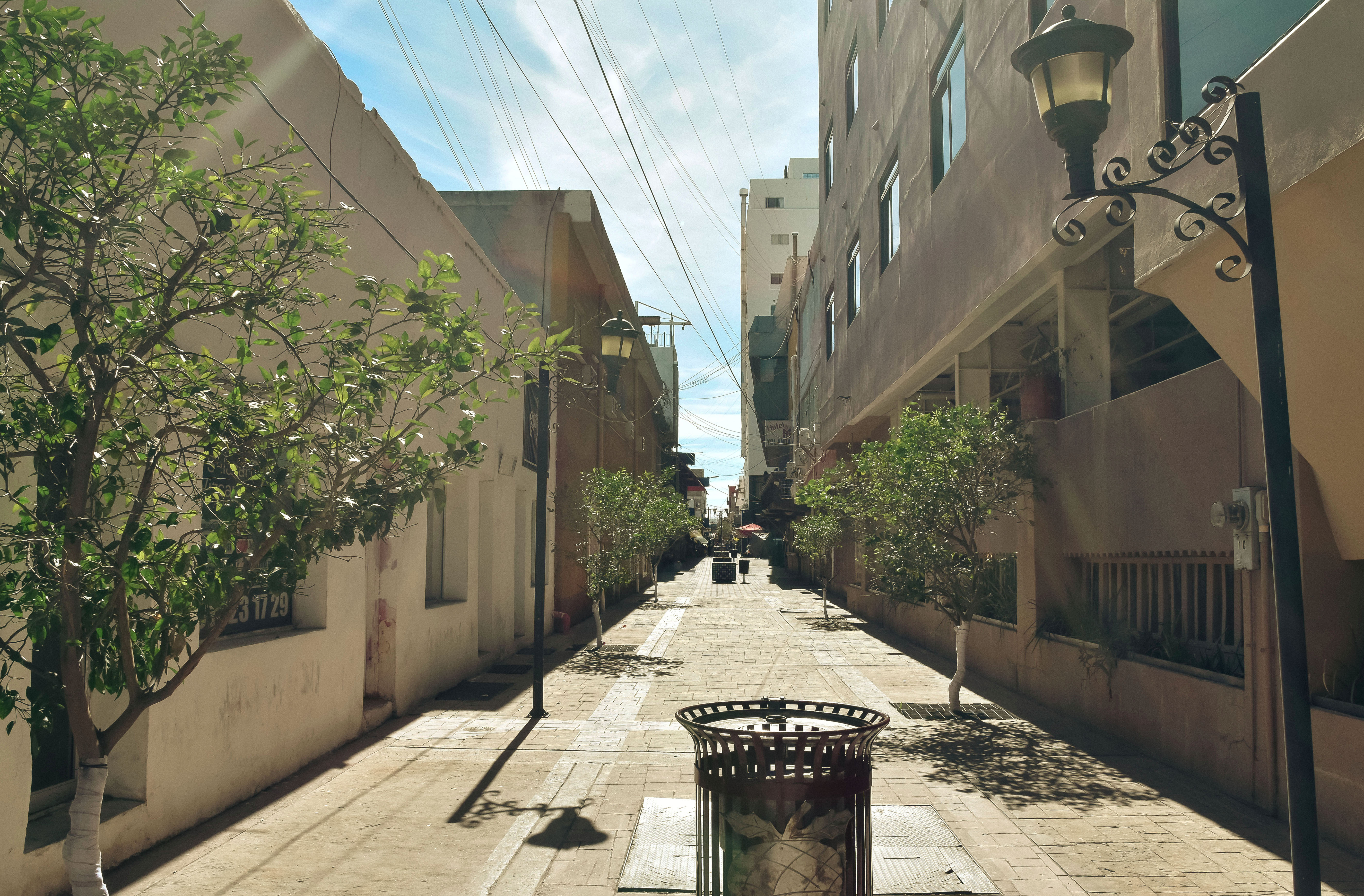 nogales nuevo/DSC_0999 copia 2.jpg